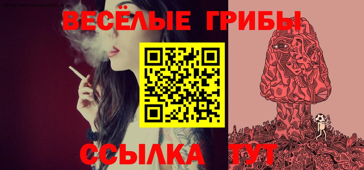 Псилоцибиновые грибы ЛСД Отрадное
